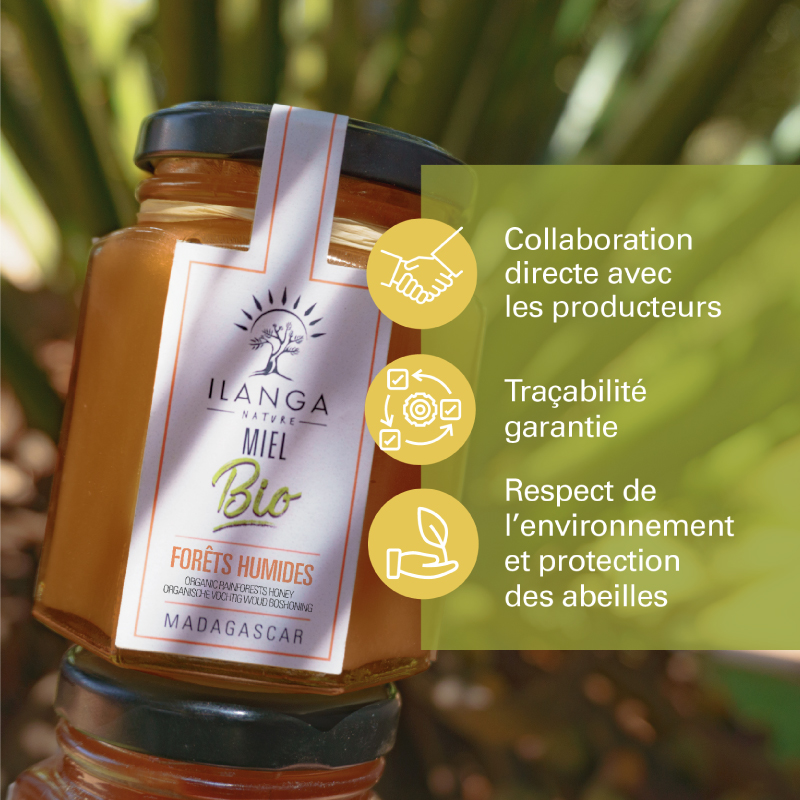 Miel de Forêts Humides - BIO