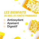 les bienfaits du miel de forêts primaires 140g