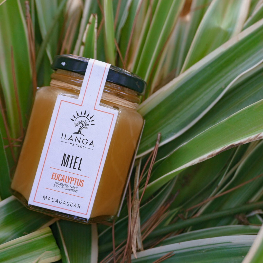 Miel d'Eucalyptus