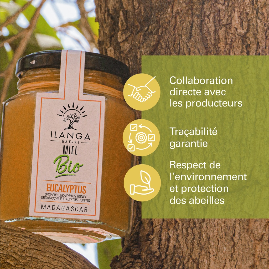 Miel d'Eucalyptus - BIO 