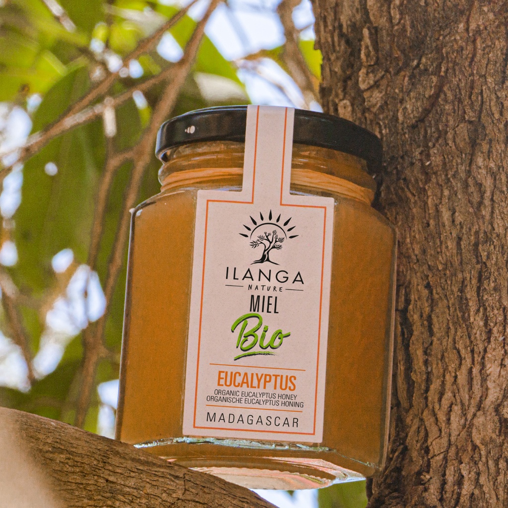 Miel d'Eucalyptus - BIO 