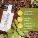 Miel de Cactus - BIO 