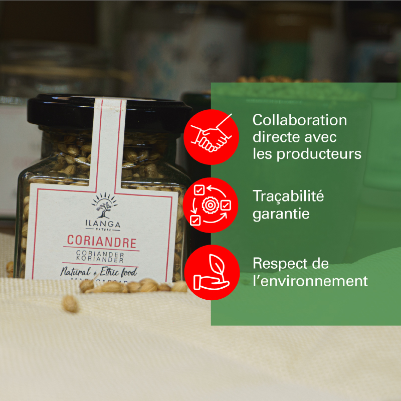 Graines de Coriandre