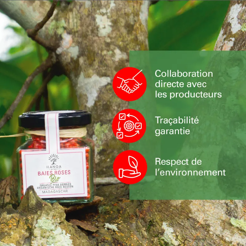 Baies Roses - BIO (35g) - valeurs nutritionnelles