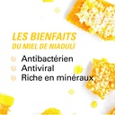 les bienfaits du miel de niaouli 140g