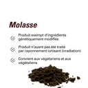 les avantages du sucre de canne molasses 500g