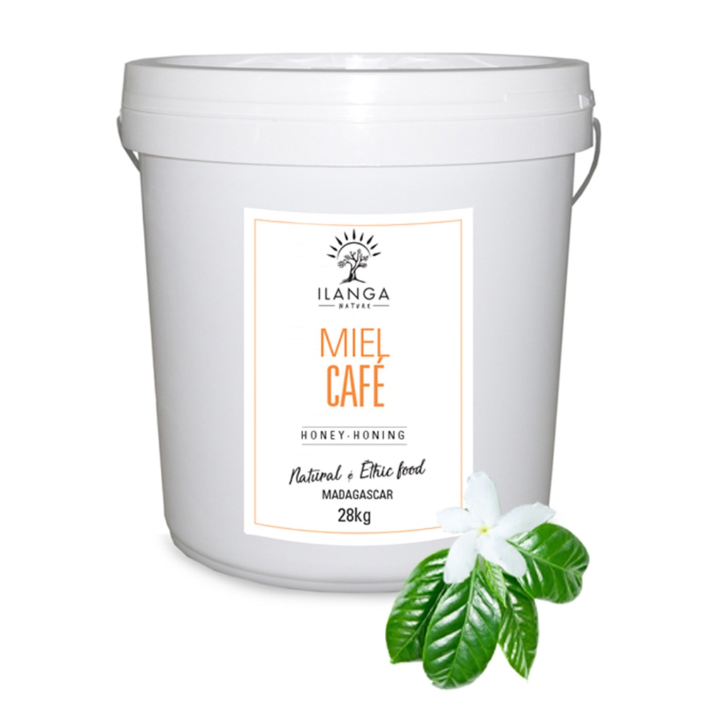 Miel de Café 28kg