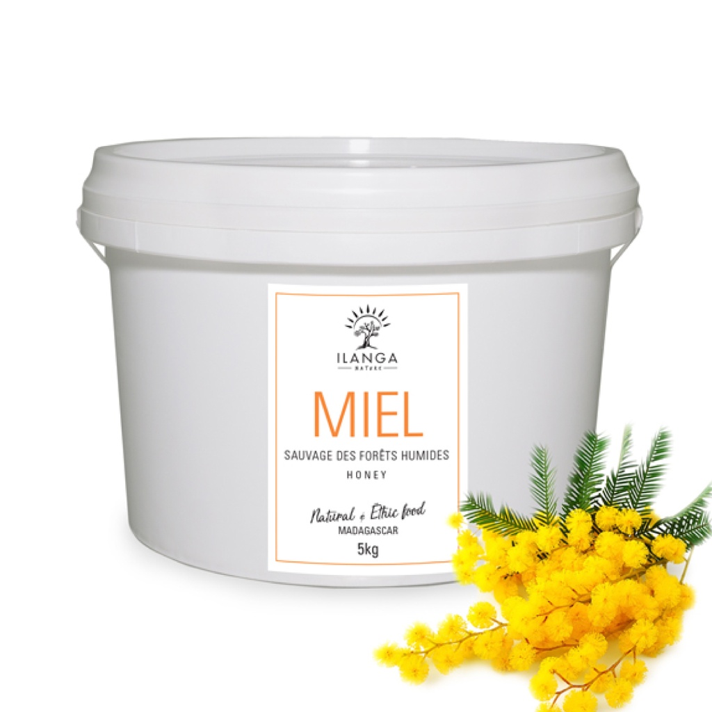 Miel de Forêts Humides 5kg