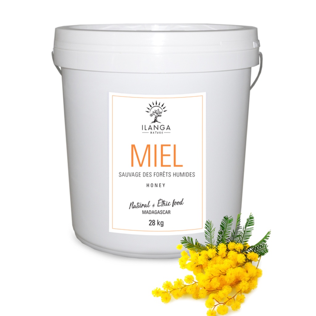 Miele della foresta pluviale 28kg