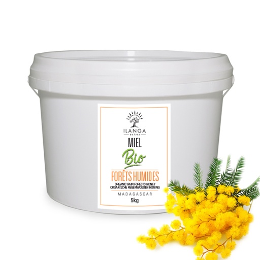 Miel de Forêts Humides 5kg - BIO