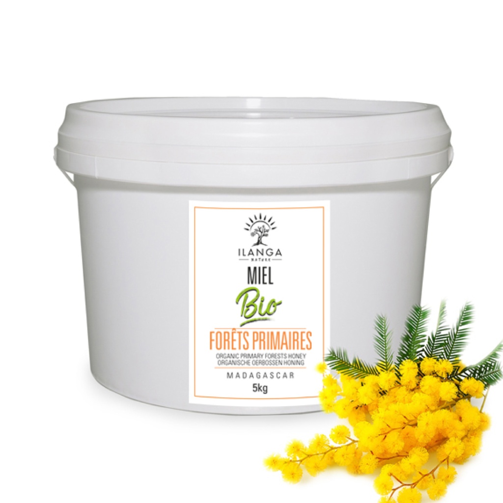 Miel de Forêts Primaires 5kg - BIO