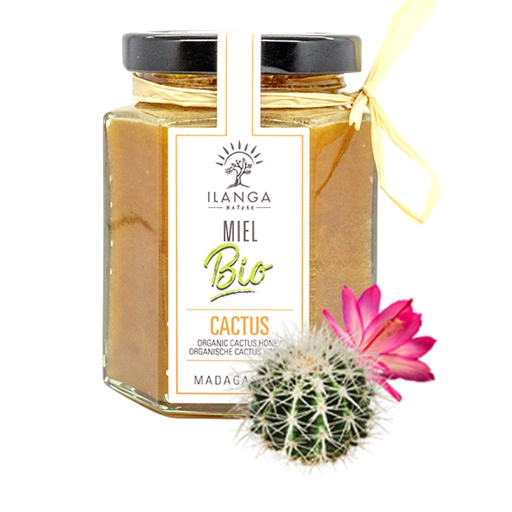 Miel de Cactus 250g - BIO