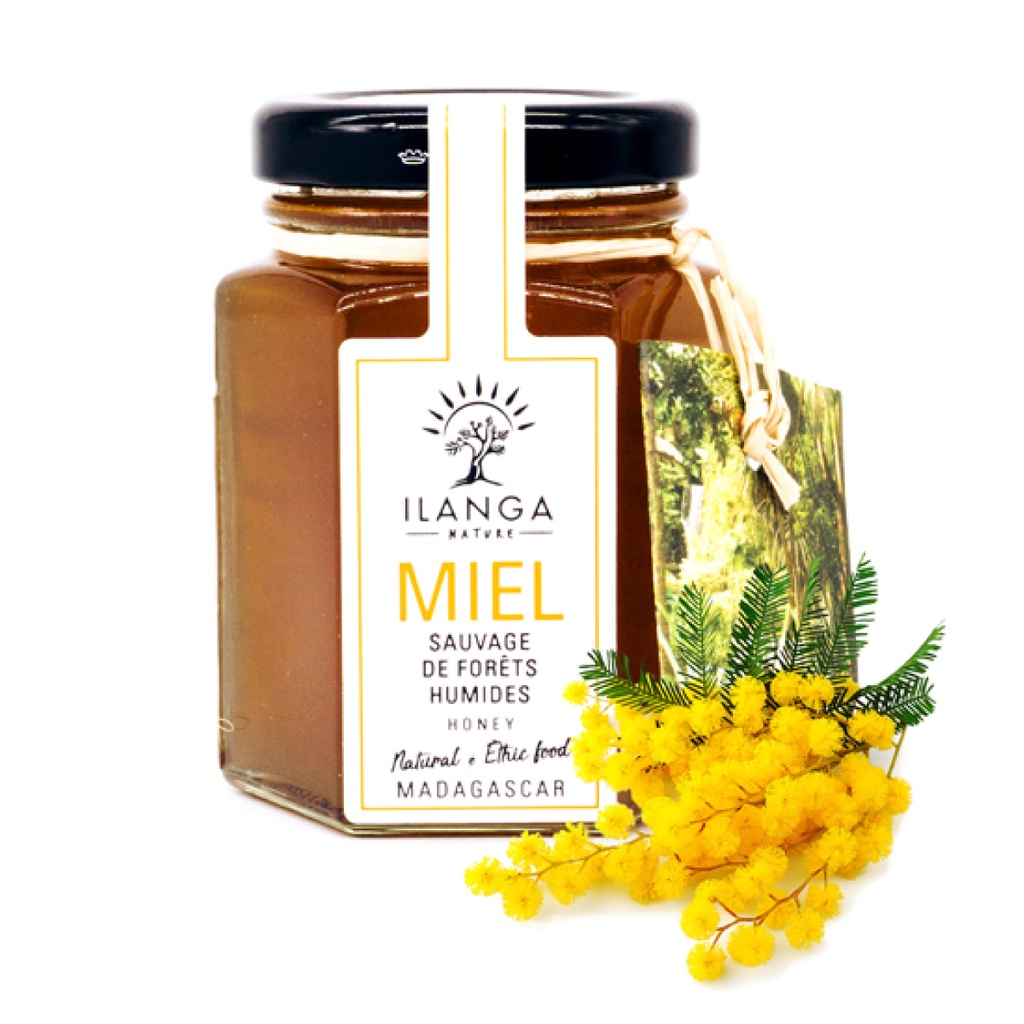 Miele di foresta pluviale 140g