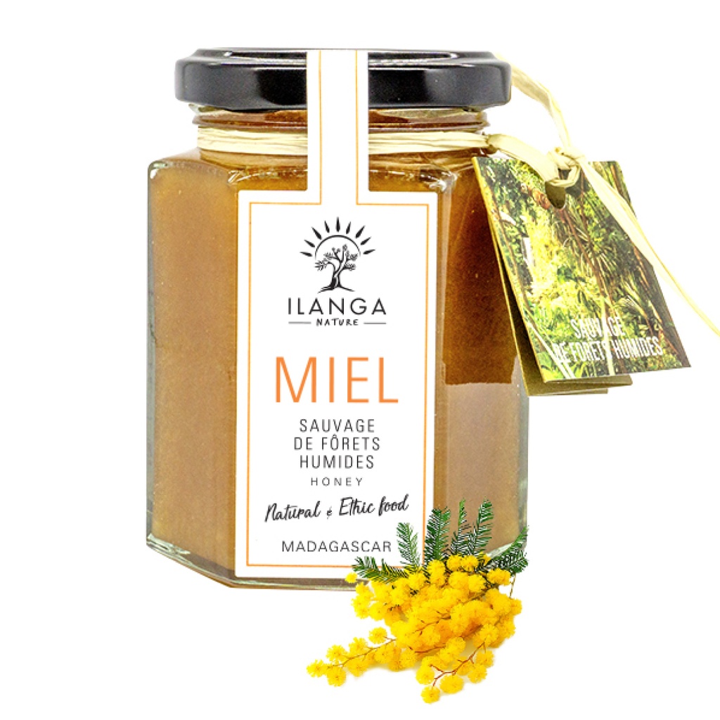 Miele della foresta pluviale 250g