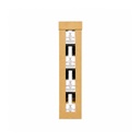 Assortimento di 4 spezie in polvere - BIO