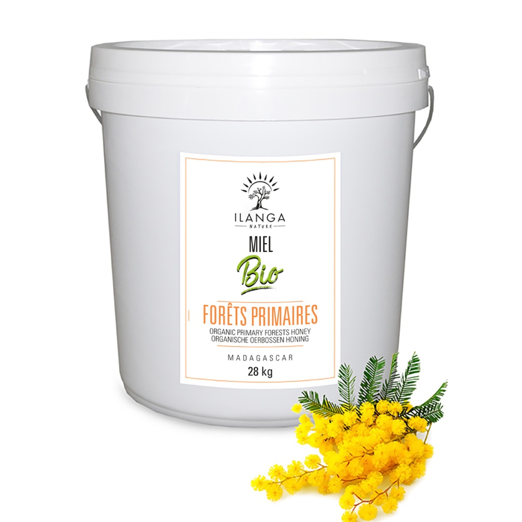 Miel de Forêts Primaires - Bio (Format Professionnel) 