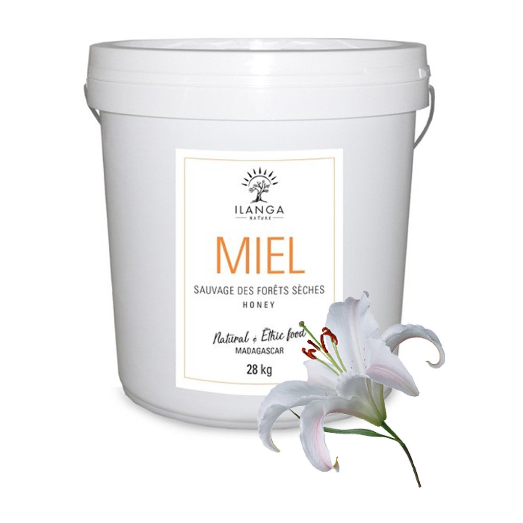 Miel de Forêts Sèches (Format professionnel) 