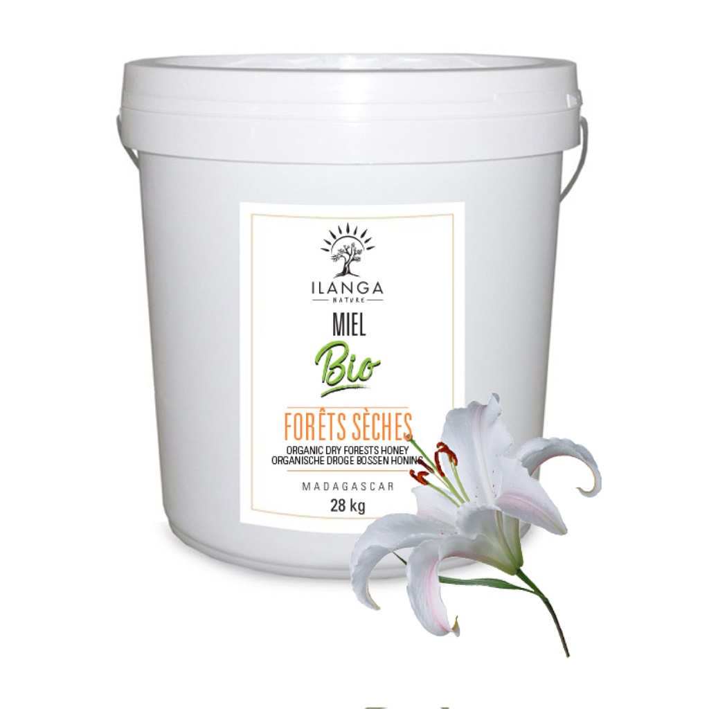 [5905203] Miel de Forêts Sèches - BIO (Format professionnel)  (28Kg)