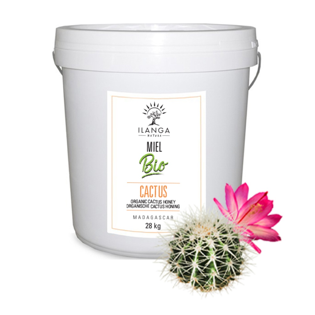 Miel de Cactus - BIO (Format professionnel)