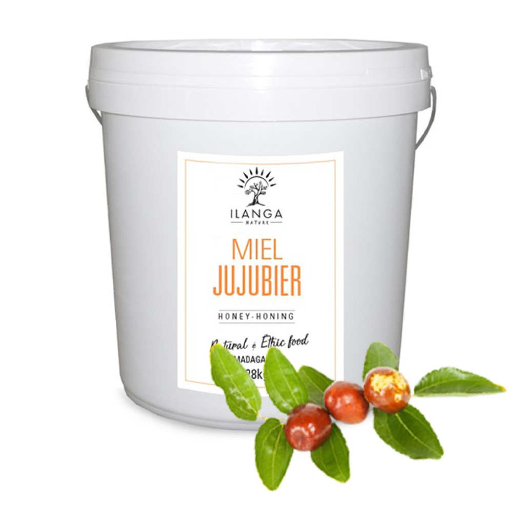 Miel de Jujubier (Format professionnel) 