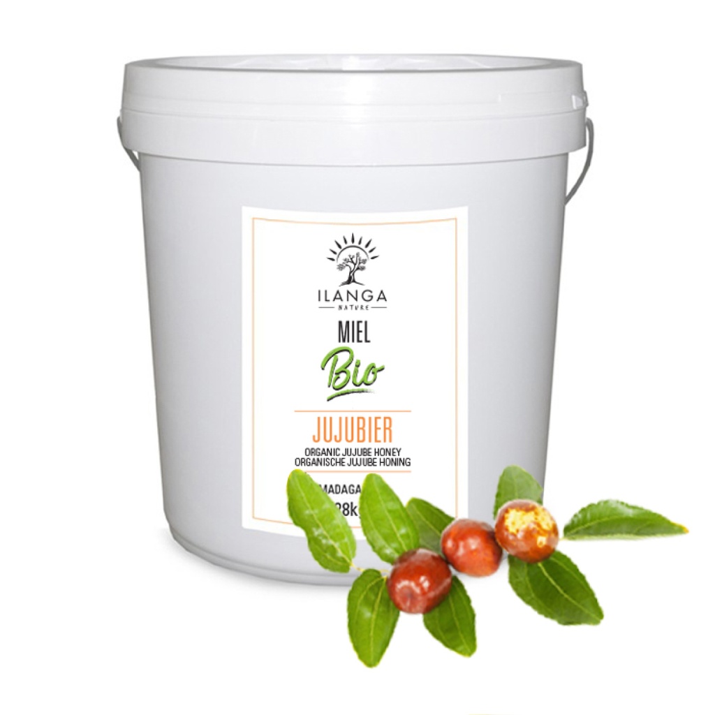 Miel de Jujubier - BIO (Format professionnel)